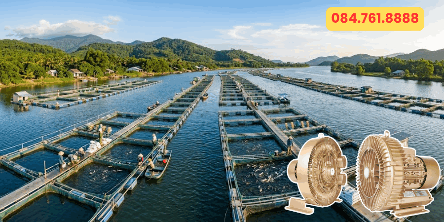 Ống hút – ống xả máy thổi khí con sò Goorui